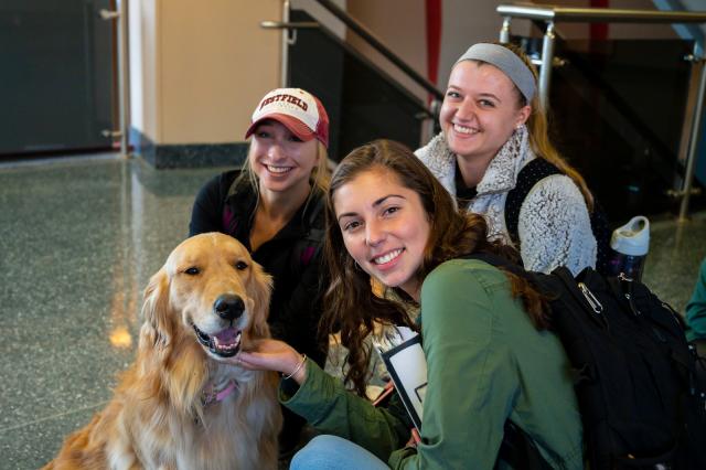 Students pose with a dog during a Pet therapy Session in the Ely Campus Center